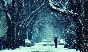 有一种爱,叫分离