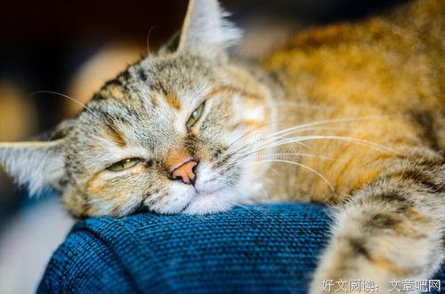 懒惰比贫穷更可怕 